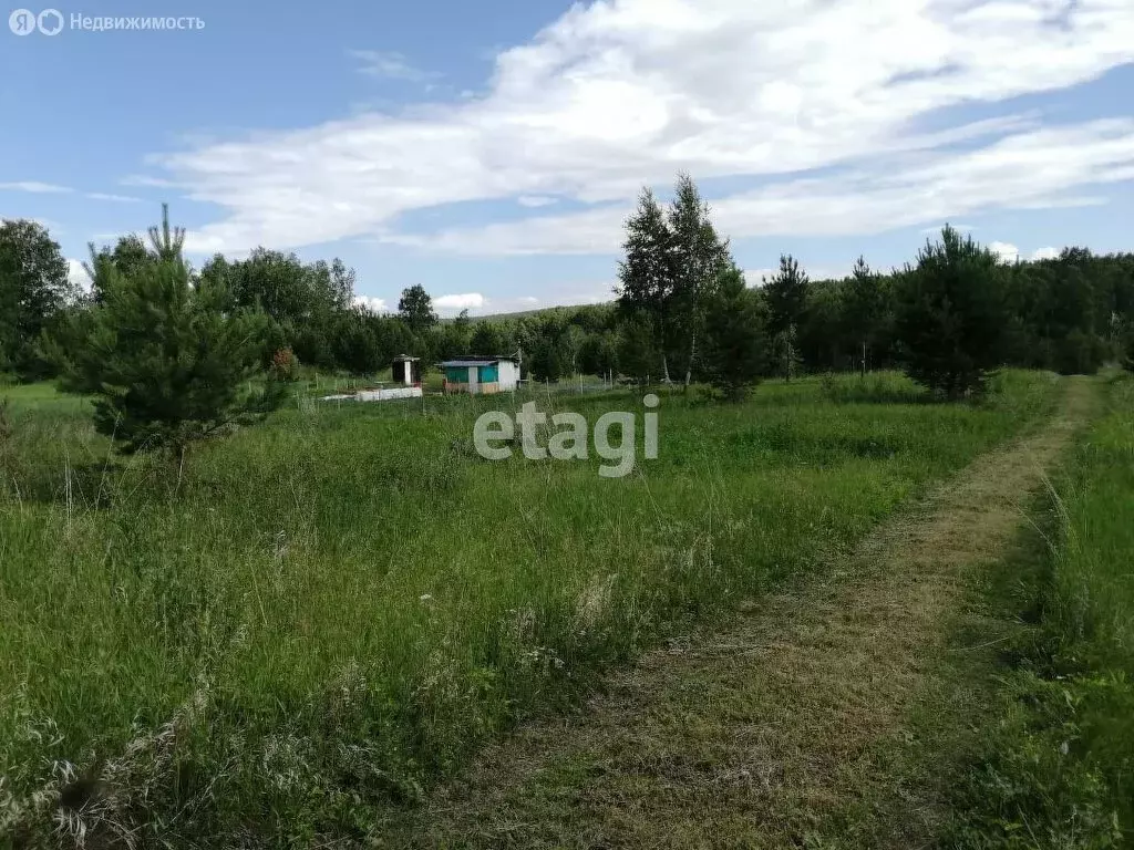 Участок в Красноярский край, Ачинский муниципальный округ, СНТ ... - Фото 2