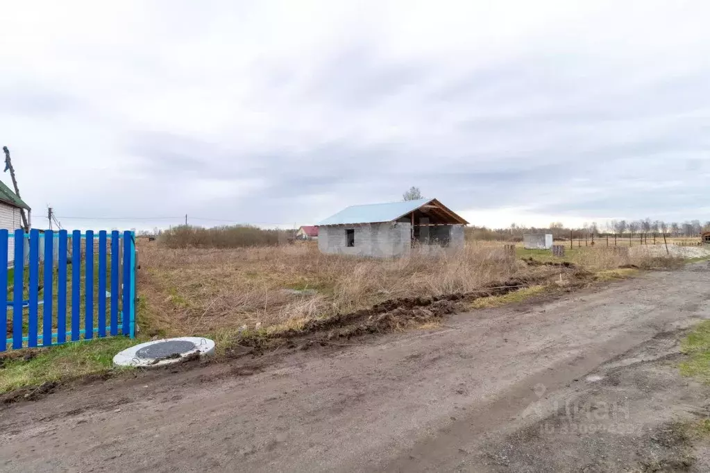 Участок в Тюменская область, Тюмень Царево садовое товарищество, ул. ... - Фото 0