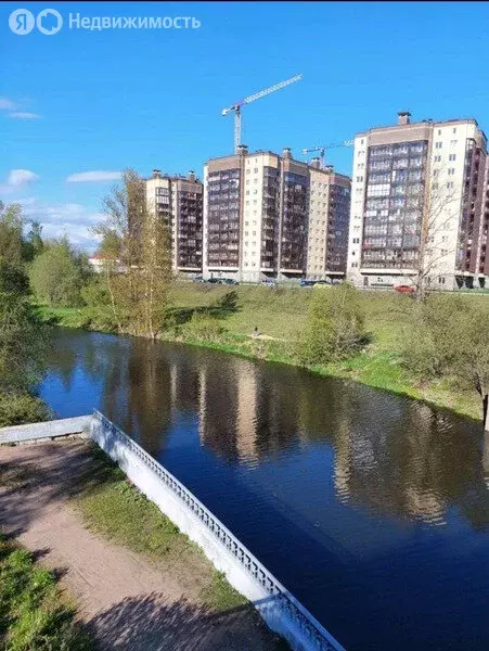 Квартира-студия: Санкт-Петербург, территория Усть-Славянка, Советский ... - Фото 0