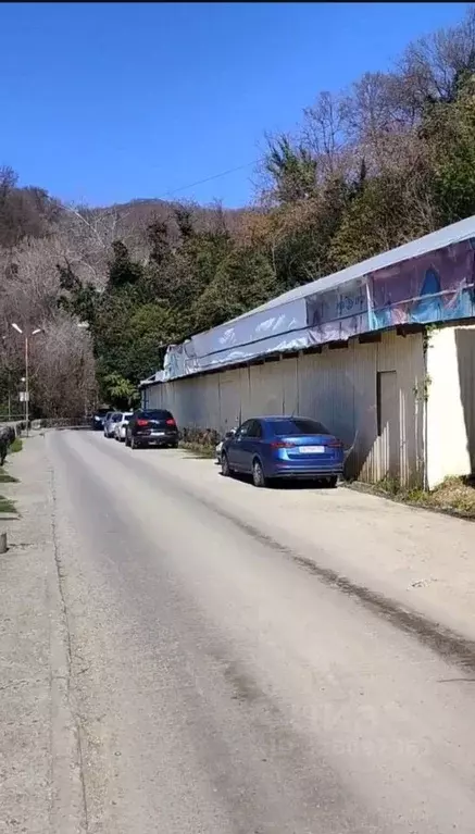 Помещение свободного назначения в Краснодарский край, Сочи Хоста ... - Фото 1