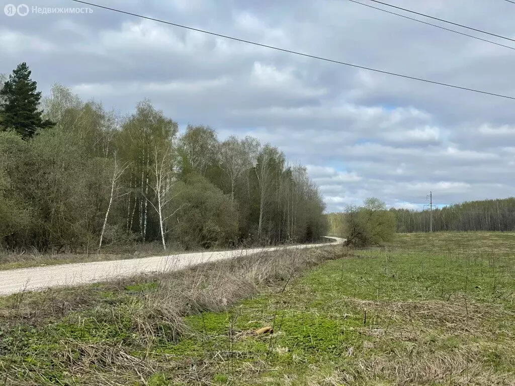 Участок в Владимирская область, Собинский муниципальный округ, село ... - Фото 0