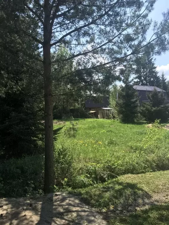 Участок в Московская область, Богородский городской округ, Березка ... - Фото 2