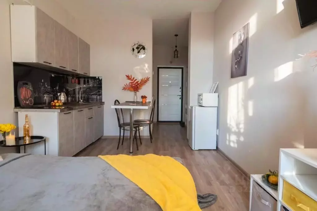 1-к кв. Воронежская область, Воронеж Московский просп., 19 (28.0 м) - Фото 2