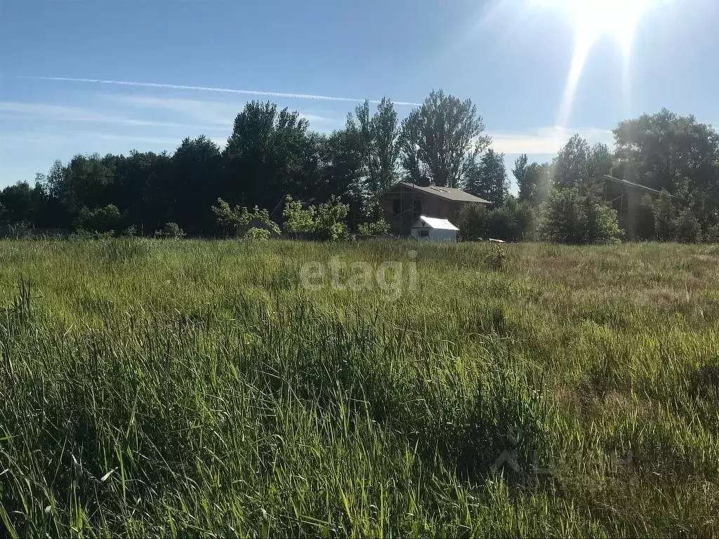 Купить Дачу В Горельском Лесхозе Тамбовской Области