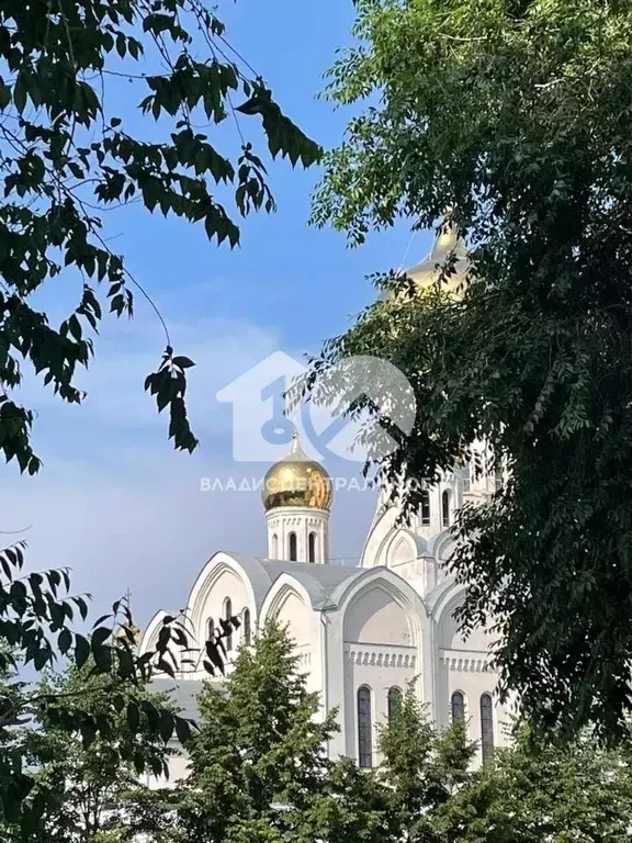 2-к кв. Новосибирская область, Новосибирск ул. Танкистов, 21/1 (47.1 ... - Фото 0