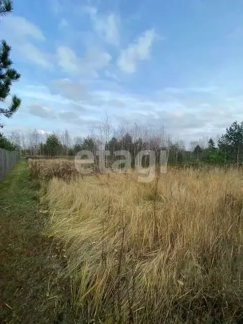 Участок в Свердловская область, Талица ул. Луначарского (11.0 сот.) - Фото 0