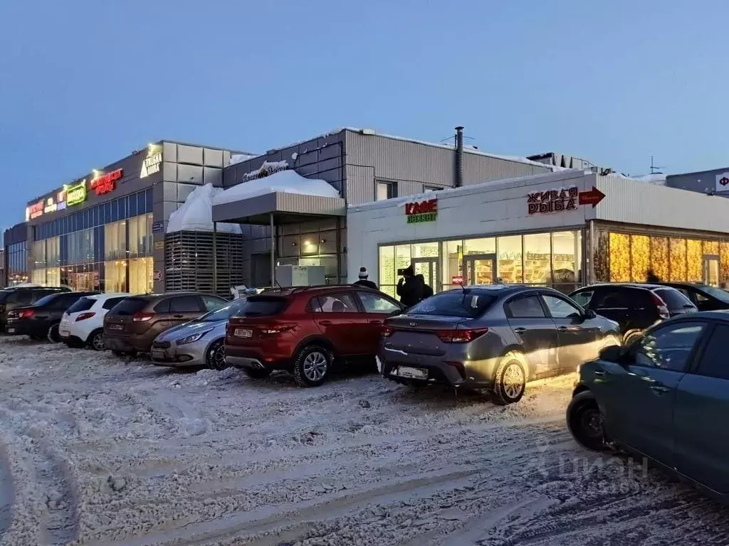 Помещение свободного назначения в Татарстан, Казань Беломорская ул., ... - Фото 2