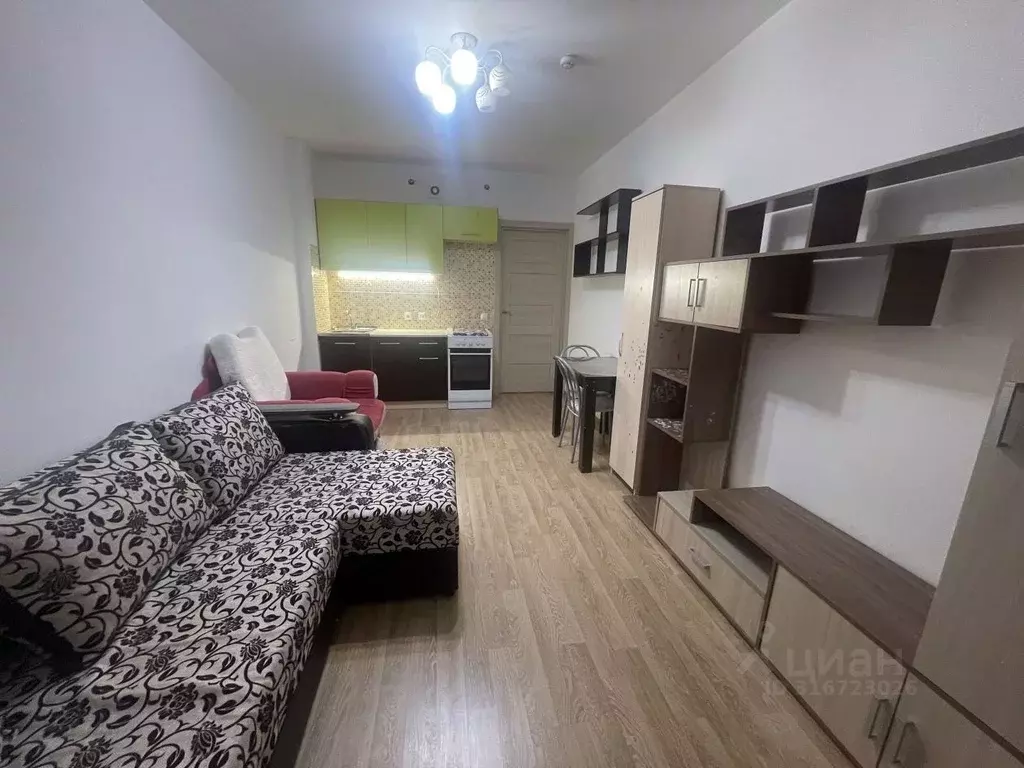 Студия Санкт-Петербург просп. Ветеранов, 171к5 (24.0 м) - Фото 0