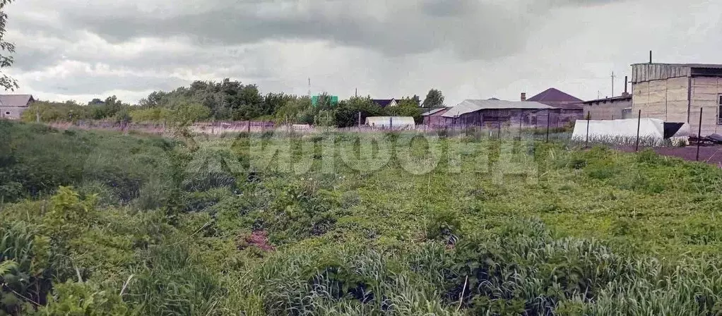 Участок 8,18 га (ИЖС) - Фото 0