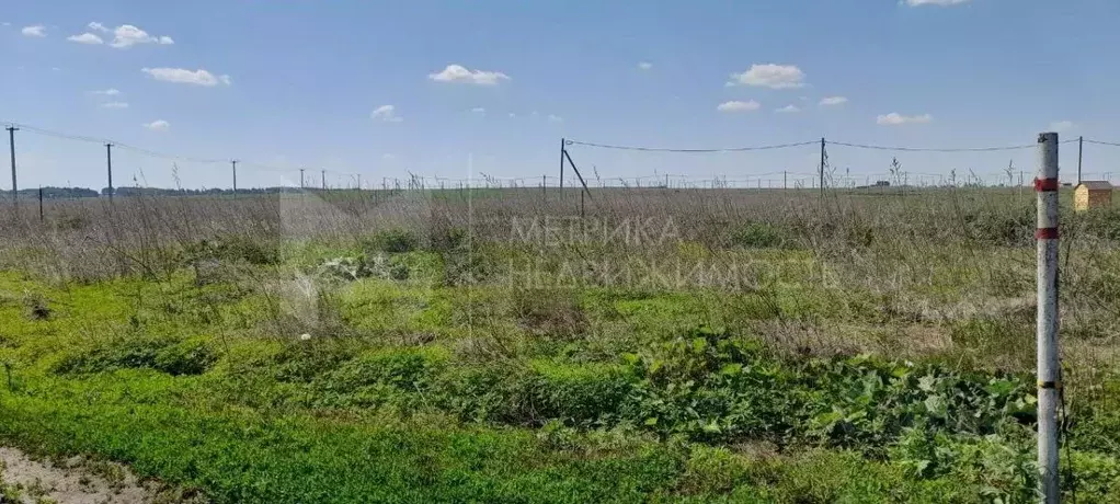 Участок в Тюменская область, Тюменский муниципальный округ, д. Большие ... - Фото 1