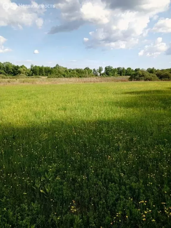 Участок в Воронежская область, рабочий посёлок Рамонь (80 м) - Фото 2