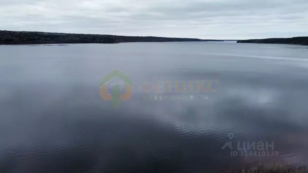 Участок в Ярославская область, Некрасовский муниципальный округ, ... - Фото 0