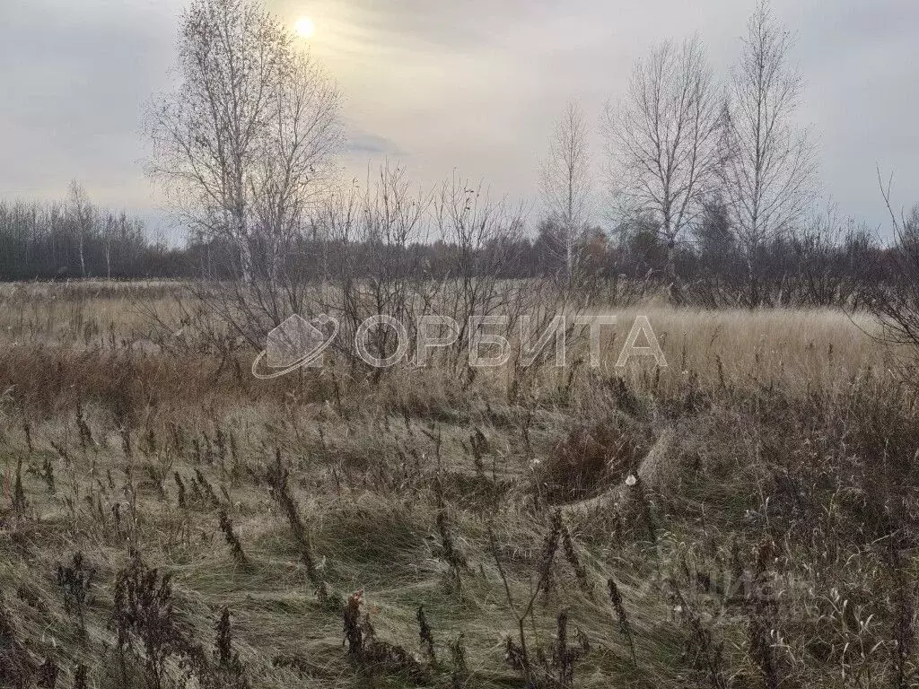 Участок в Тюменская область, Тюмень  (7.02 сот.) - Фото 2