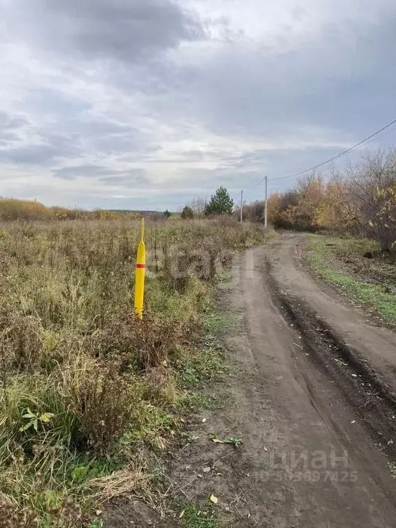 Участок в Свердловская область, Сухой Лог городской округ, с. Курьи ... - Фото 0