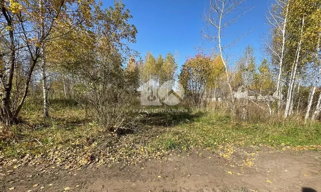 Участок в Новосибирская область, Искитимский район, Мичуринский ... - Фото 2