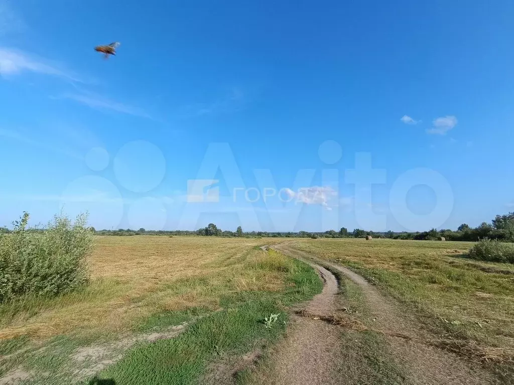 Участок 37,45 га (СНТ, ДНП) - Фото 1