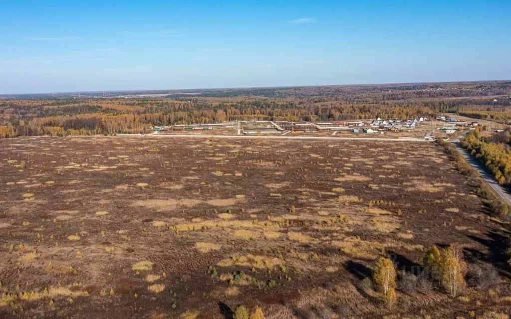 Участок в Московская область, Ступино городской округ, с. Починки  ... - Фото 1