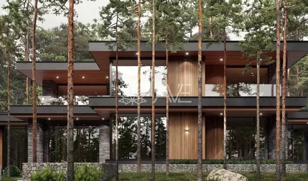 Участок в Ленинградская область, Приозерский район, Петровское с/пос, ... - Фото 2