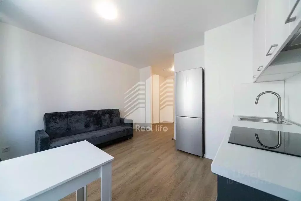 Студия Московская область, Домодедово городской округ, с. Ям ул. ... - Фото 1