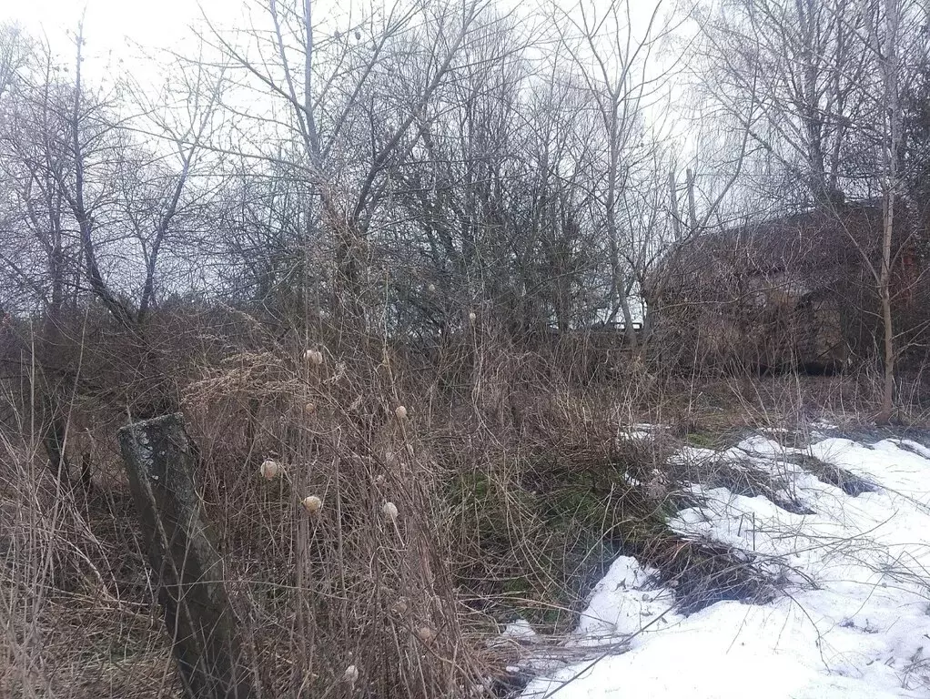 Участок в Дмитровский район, село Долбенкино (26 м) - Фото 1