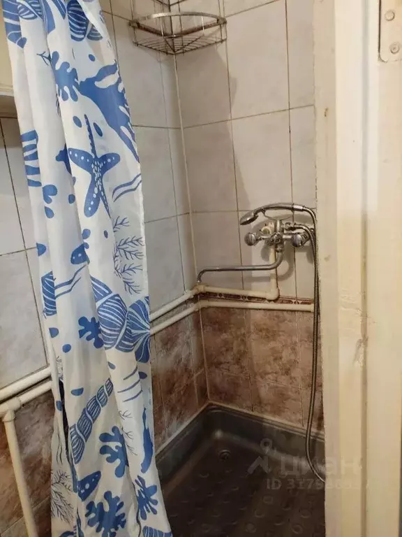 Студия Красноярский край, Красноярск Семафорная ул., 257 (18.0 м) - Фото 1