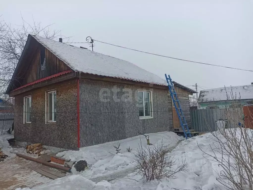 Дом в Амурская область, Белогорск ул. Гоголя, 77 (56 м) - Фото 1