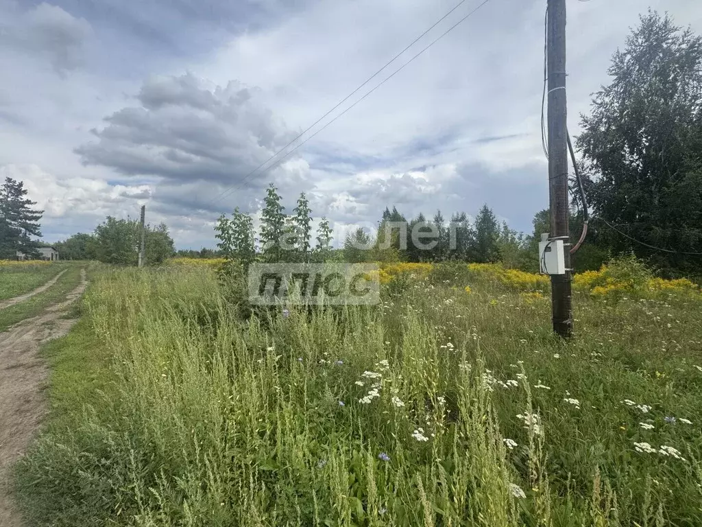 Участок в Алтайский край, Бийск ул. 4-я Нефтяная, 6 (14.4 сот.) - Фото 2