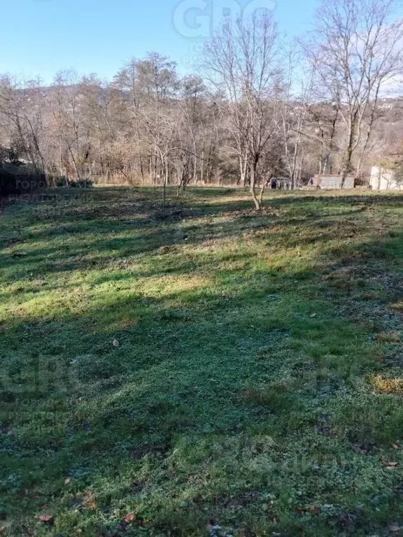 Участок в Краснодарский край, Сочи городской округ, с. Вардане-Верино ... - Фото 0