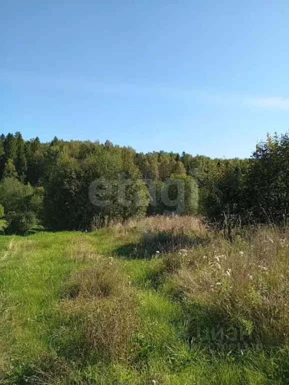 Участок в Вологодская область, Грязовецкий муниципальный округ, с. ... - Фото 0