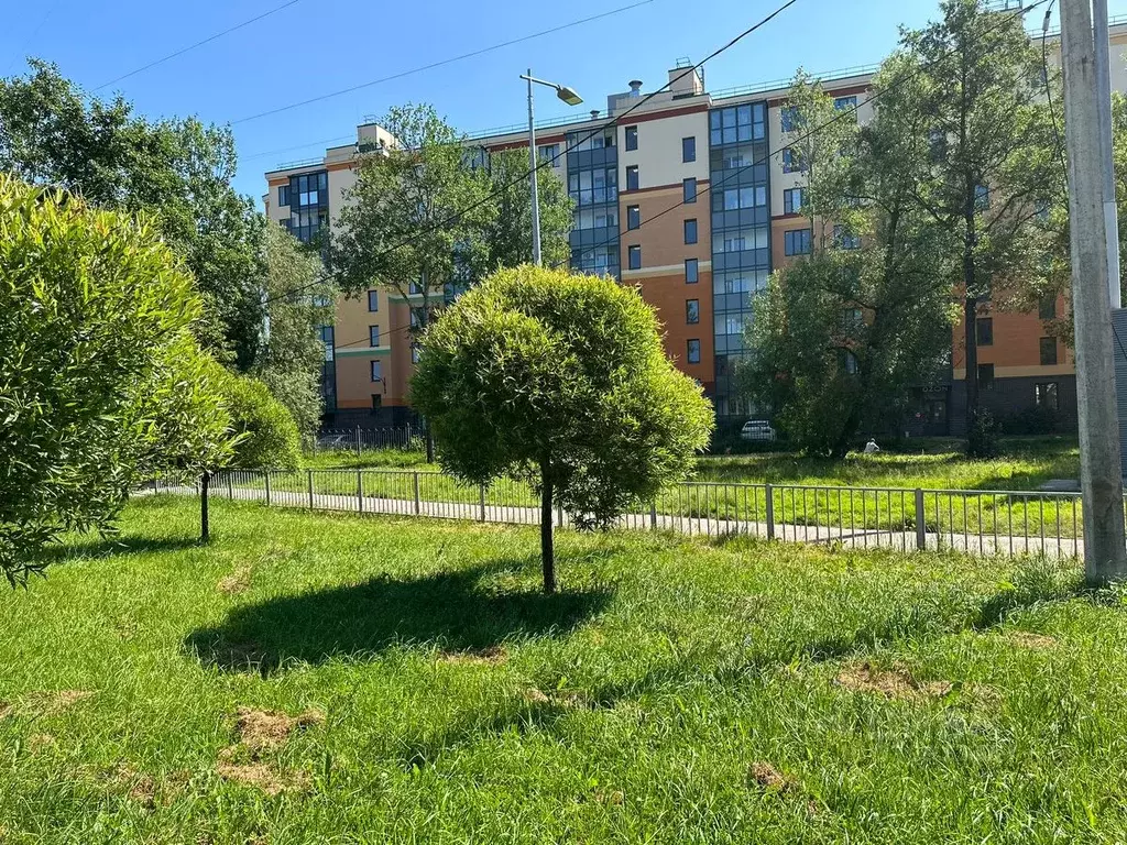 1-к кв. Санкт-Петербург Петергофское ш., 86к3 (35.0 м) - Фото 0