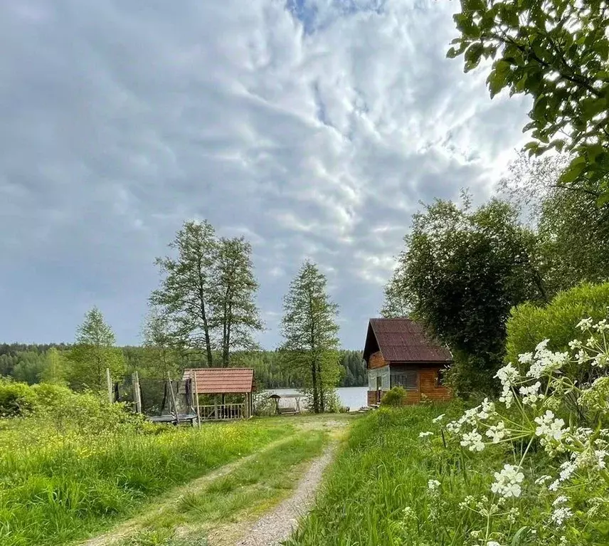 Дом в Ленинградская область, Выборгский район, Каменногорское ... - Фото 1