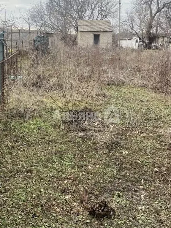 Участок в Ростовская область, Белокалитвинское городское поселение, ... - Фото 2