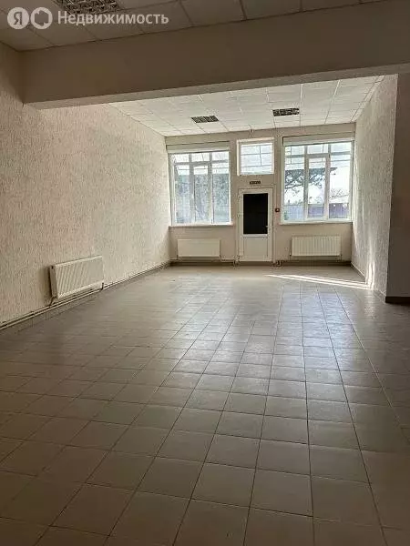 Помещение свободного назначения (232 м) - Фото 2