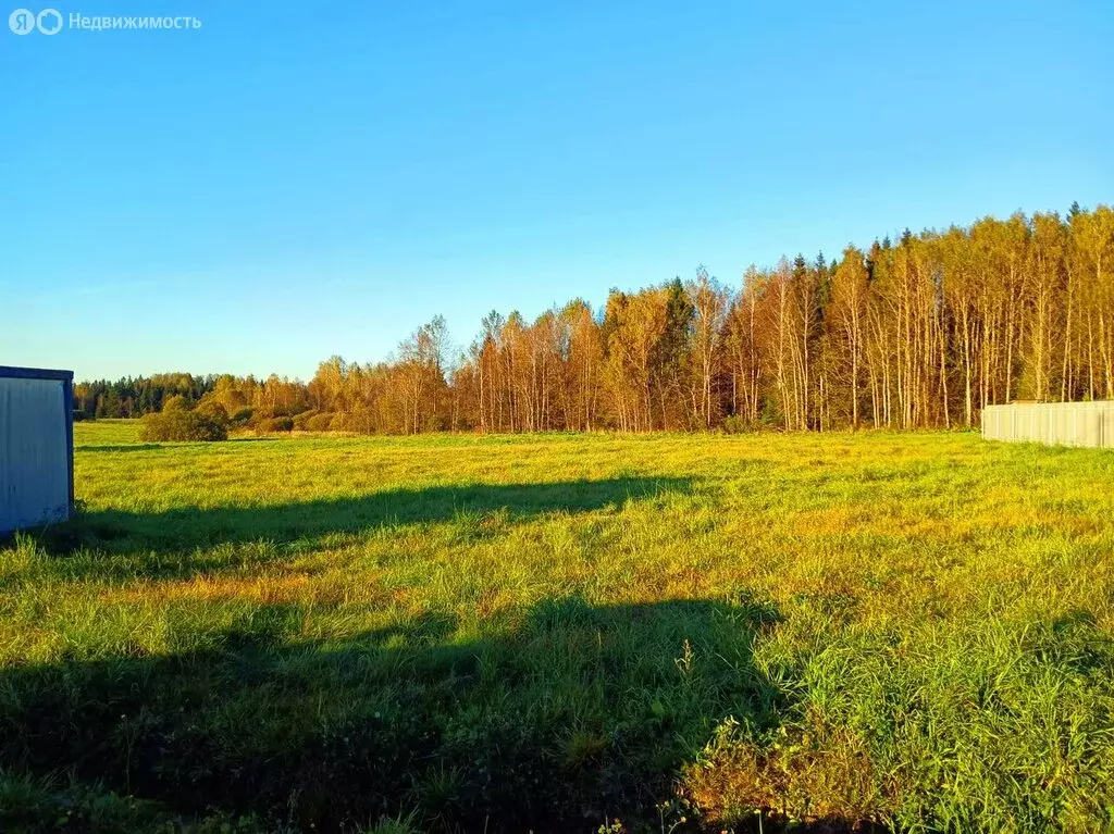Участок в Московская область, муниципальный округ Истра, деревня ... - Фото 2