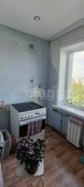 1-к. квартира, 29,9 м, 5/5 эт. - Фото 0