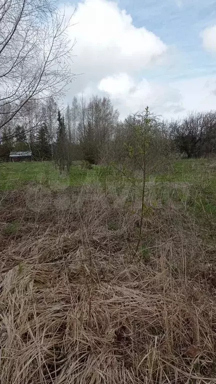 Дом 32,4 м на участке 23 сот. - Фото 1