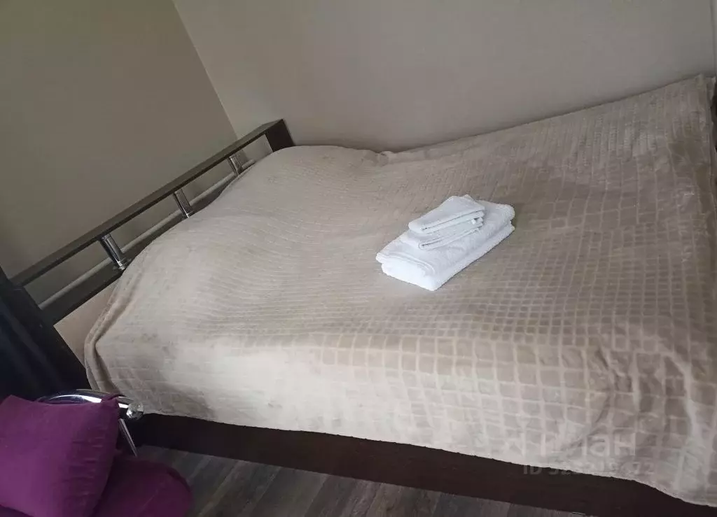 1-к кв. Томская область, Томск просп. Ленина, 174 (30.0 м) - Фото 2