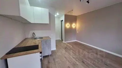 Студия Пермский край, Пермь ул. Пушкина, 108А (19.0 м) - Фото 2