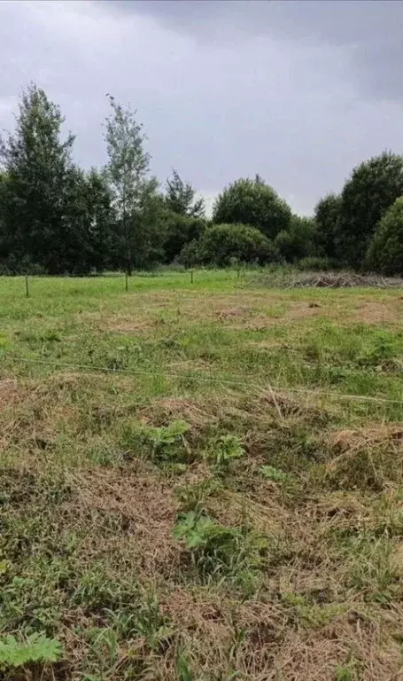 Участок в Ярославская область, Ярославский муниципальный округ, д. ... - Фото 2