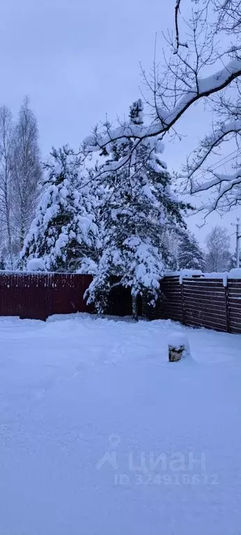 Дом в Ленинградская область, Всеволожск ул. Загородная, 11 (70 м) - Фото 2