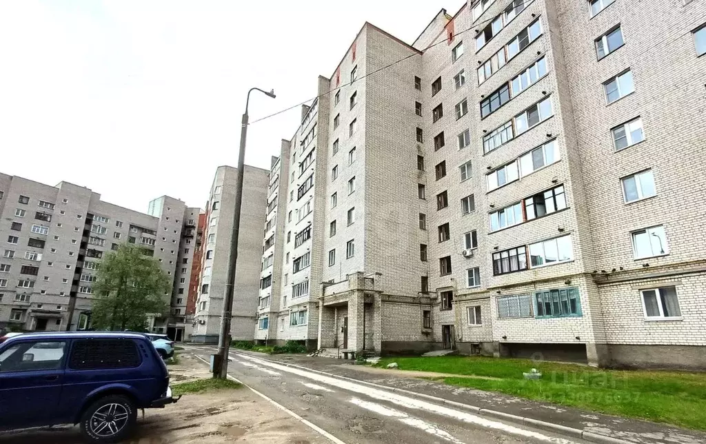 1-к кв. Псковская область, Псков Юбилейная ул., 77Б (26.3 м) - Фото 2