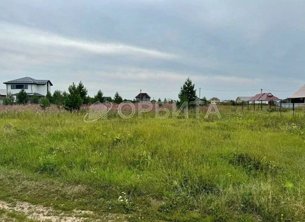 Участок в Тюменская область, Тюменский район, Кулаковское ... - Фото 1