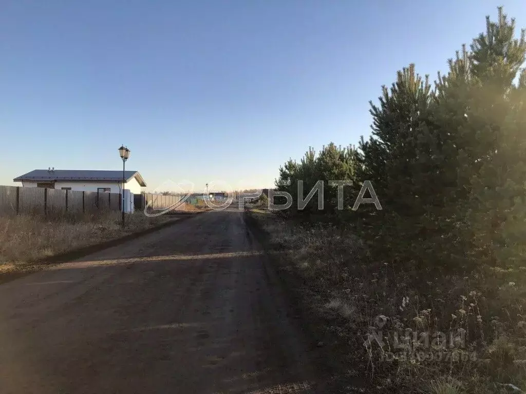 Участок в Тюменская область, Тюменский район, Новокаменский кп ул. ... - Фото 1