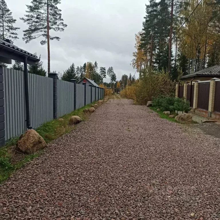 Участок в Ленинградская область, Сертолово Всеволожский район, Медное ... - Фото 0