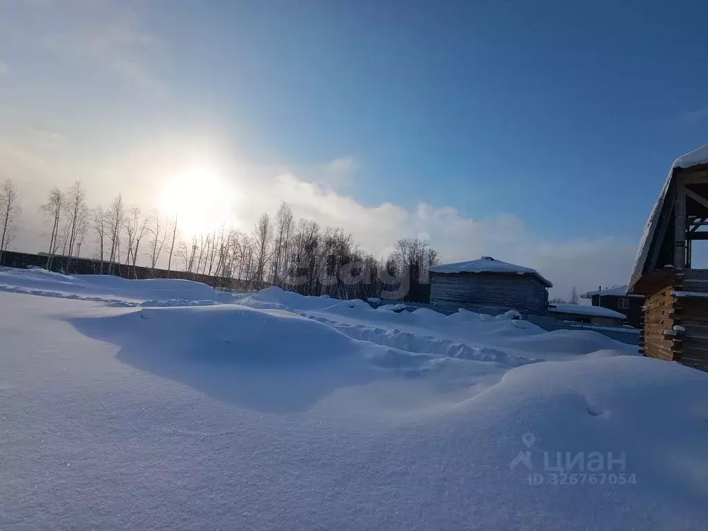 Участок в Архангельская область, Архангельск Лето коллектив ... - Фото 1