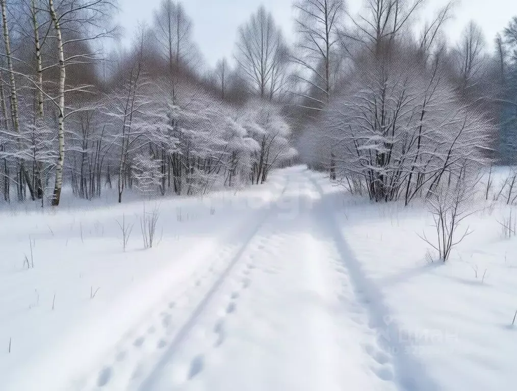 Участок в Тульская область, Заокский район, Страховское с/пос, Верхняя ... - Фото 2