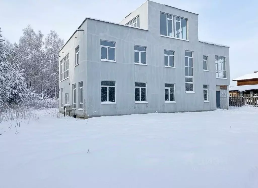 Дом в Нижегородская область, с. Безводное ул. Цветочная, 29 (436 м) - Фото 1