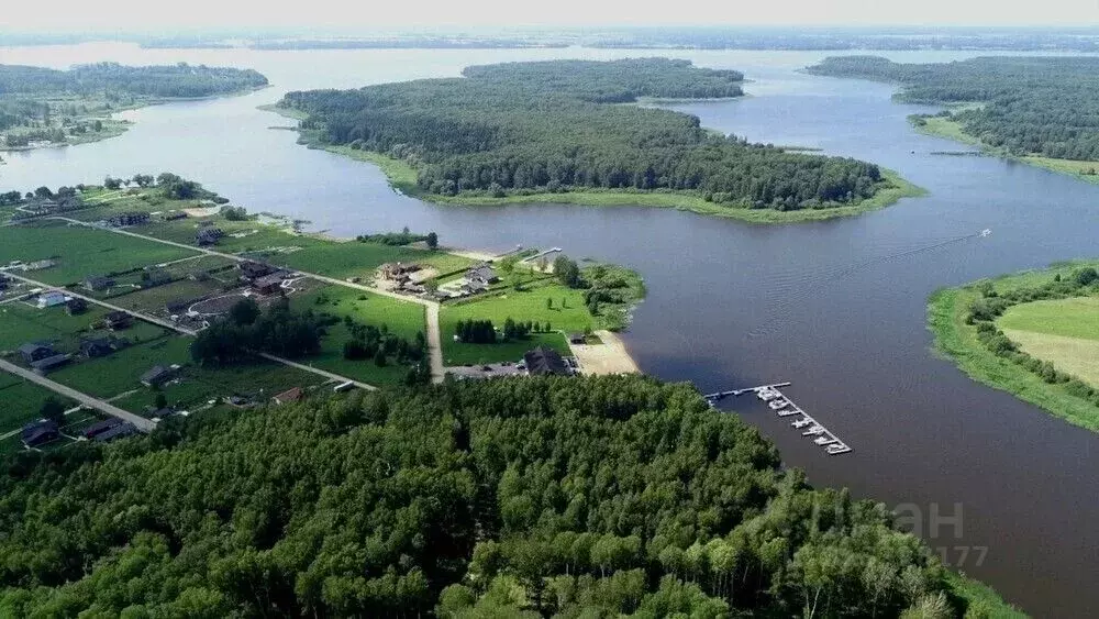 Участок в Ярославская область, Угличский муниципальный округ, с. ... - Фото 1