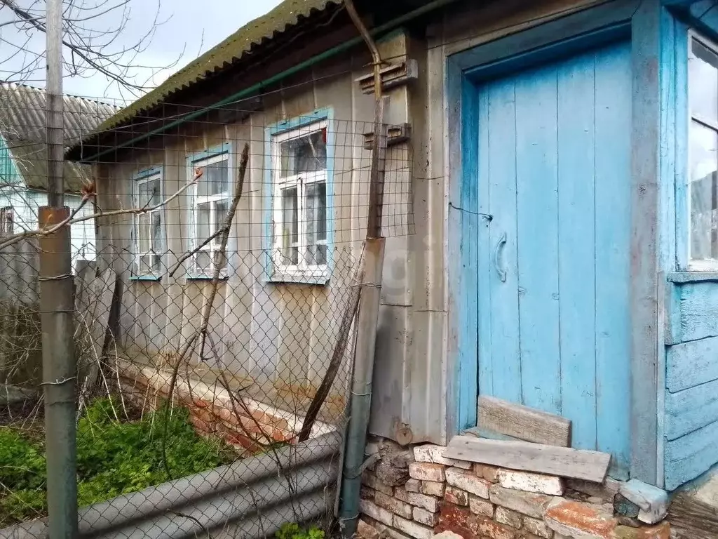 Дом в Белгородская область, Новооскольский муниципальный округ, с. ... - Фото 1