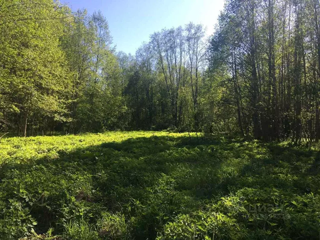 Участок в Московская область, Домодедово городской округ, д. Сырьево  ... - Фото 1
